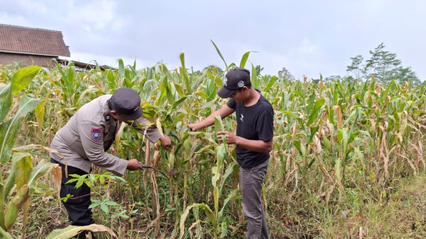 Polres Malang Dorong Pangan Produktif Sekaligus Gerakkan Ekonomi Warga