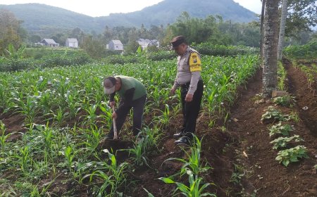 Polres Malang Soroti Pentingnya Distribusi Hasil Pertanian untuk Ketahanan Pangan